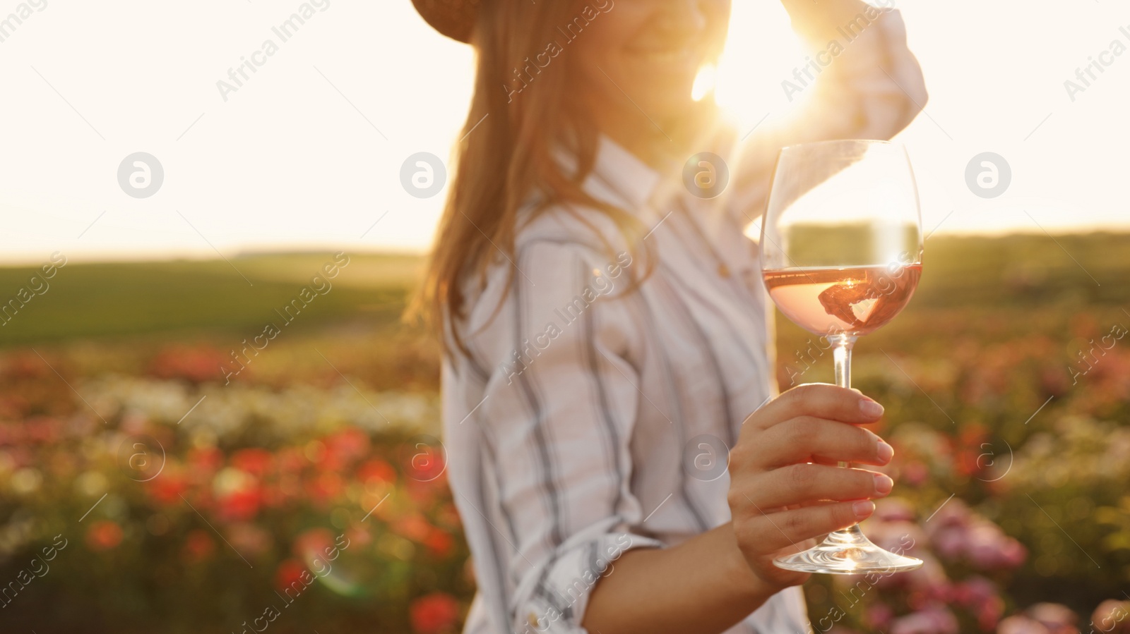 Photo of Woman with glass of wine in rose garden on sunny day, closeup