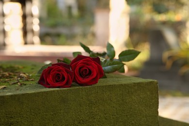 Photo of Red roses on grey tombstone outdoors on sunny day, space for text. Funeral ceremony