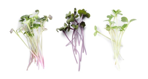 Image of Set of different fresh microgreens on white background, top view. Banner design 