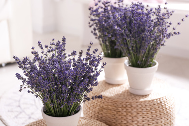 Photo of Beautiful lavender flowers on wicker poufs indoors