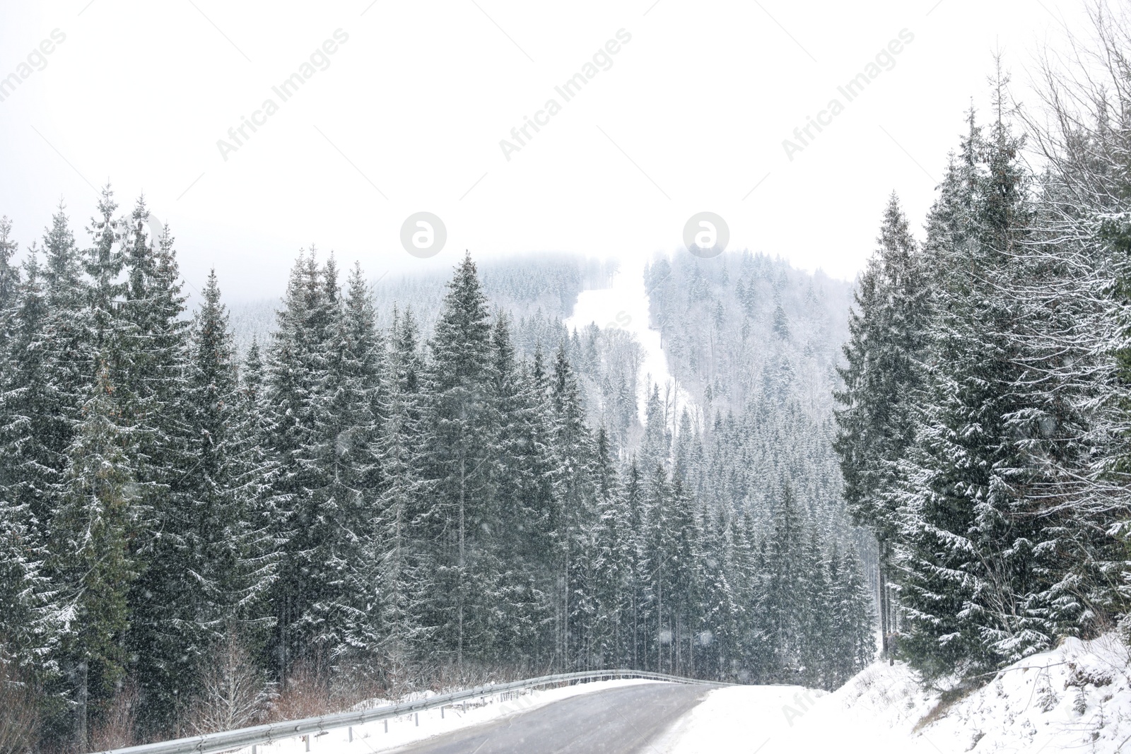 Photo of Beautiful landscape with conifer forest and road on snowy winter day
