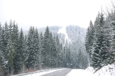 Beautiful landscape with conifer forest and road on snowy winter day