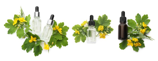 Set with celandine essential oil in bottles on white background, top view. Banner design