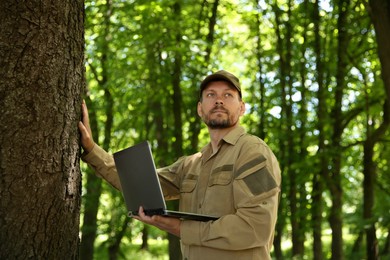 Forester with laptop examining tree in forest