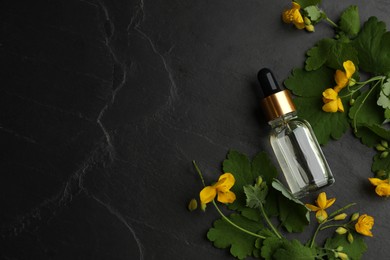 Bottle of natural celandine oil and flowers on black table, flat lay. Space for text