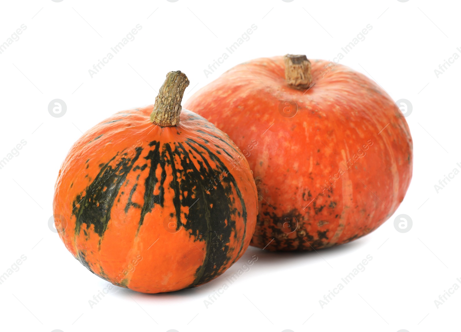 Photo of Fresh orange raw pumpkins isolated on white