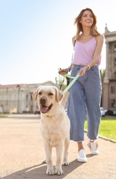 Owner walking her yellow labrador retriever outdoors