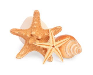 Photo of Beautiful sea stars (starfishes), stone and seashell isolated on white