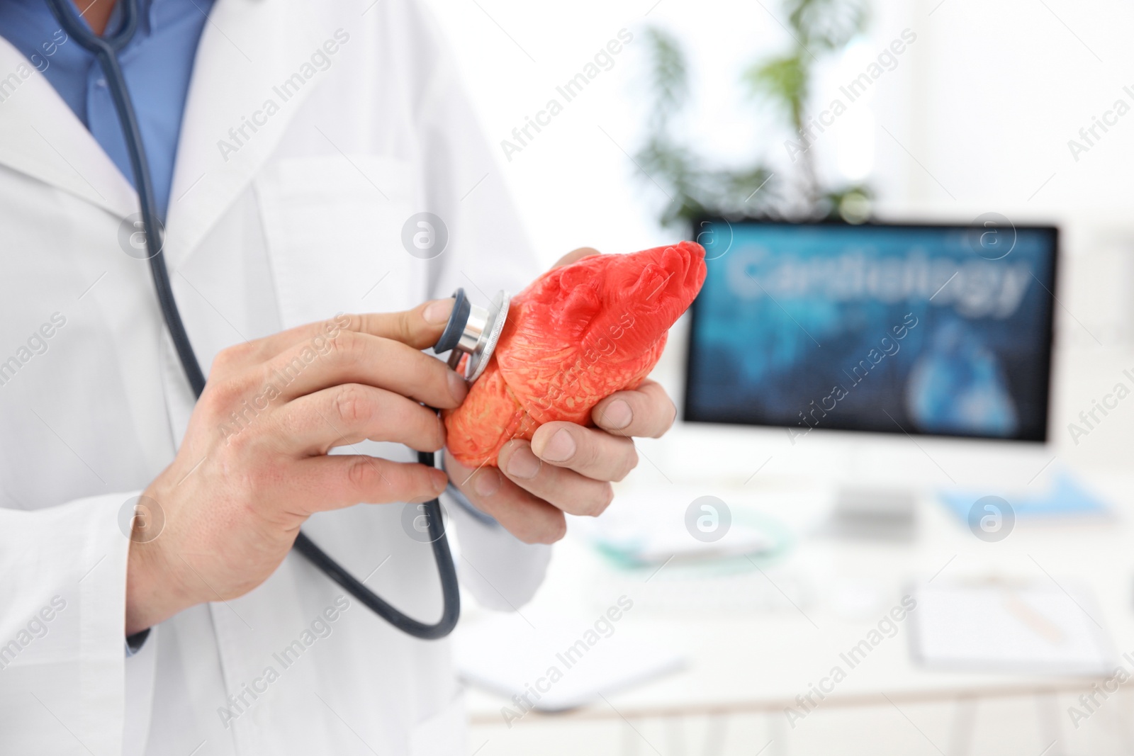 Photo of Male doctor with heart model and stethoscope in clinic. Cardiology center
