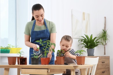 Photo of Mother and daughter taking care of seedlings in pots together at wooden table in room