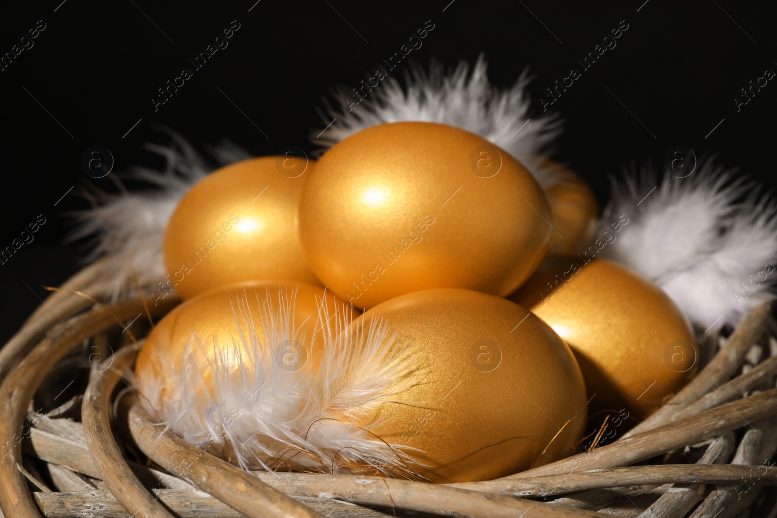 Photo of Shiny golden eggs with feathers in nest on black background, closeup