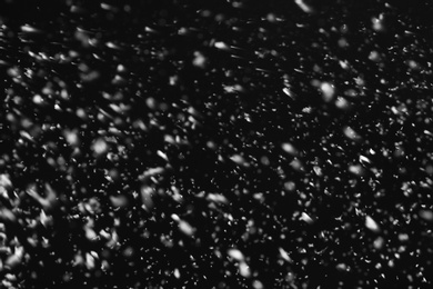 Snow flakes falling on black background. Winter weather