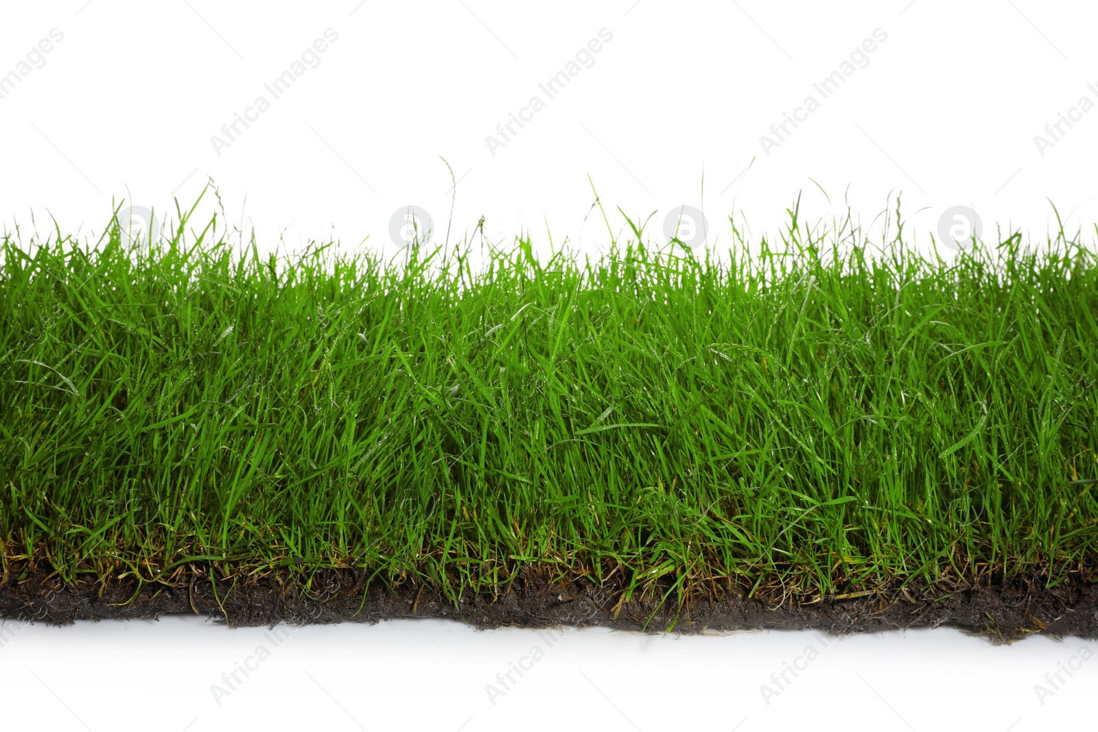 Photo of Soil with lush green grass on white background