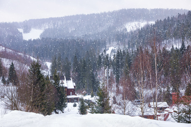 Photo of Picturesque view of snowy village near forest on winter day