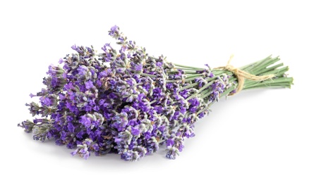 Photo of Bouquet of fresh lavender flowers on white background