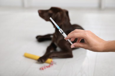 Photo of Woman with syringe near dog indoors, closeup. Pet vaccination