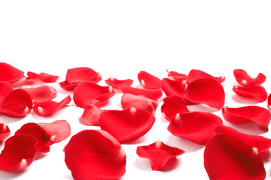 Photo of Fresh red rose petals on white background