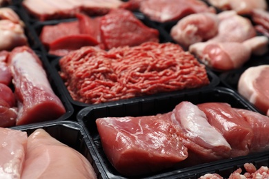 Photo of Containers with different raw meat, closeup view