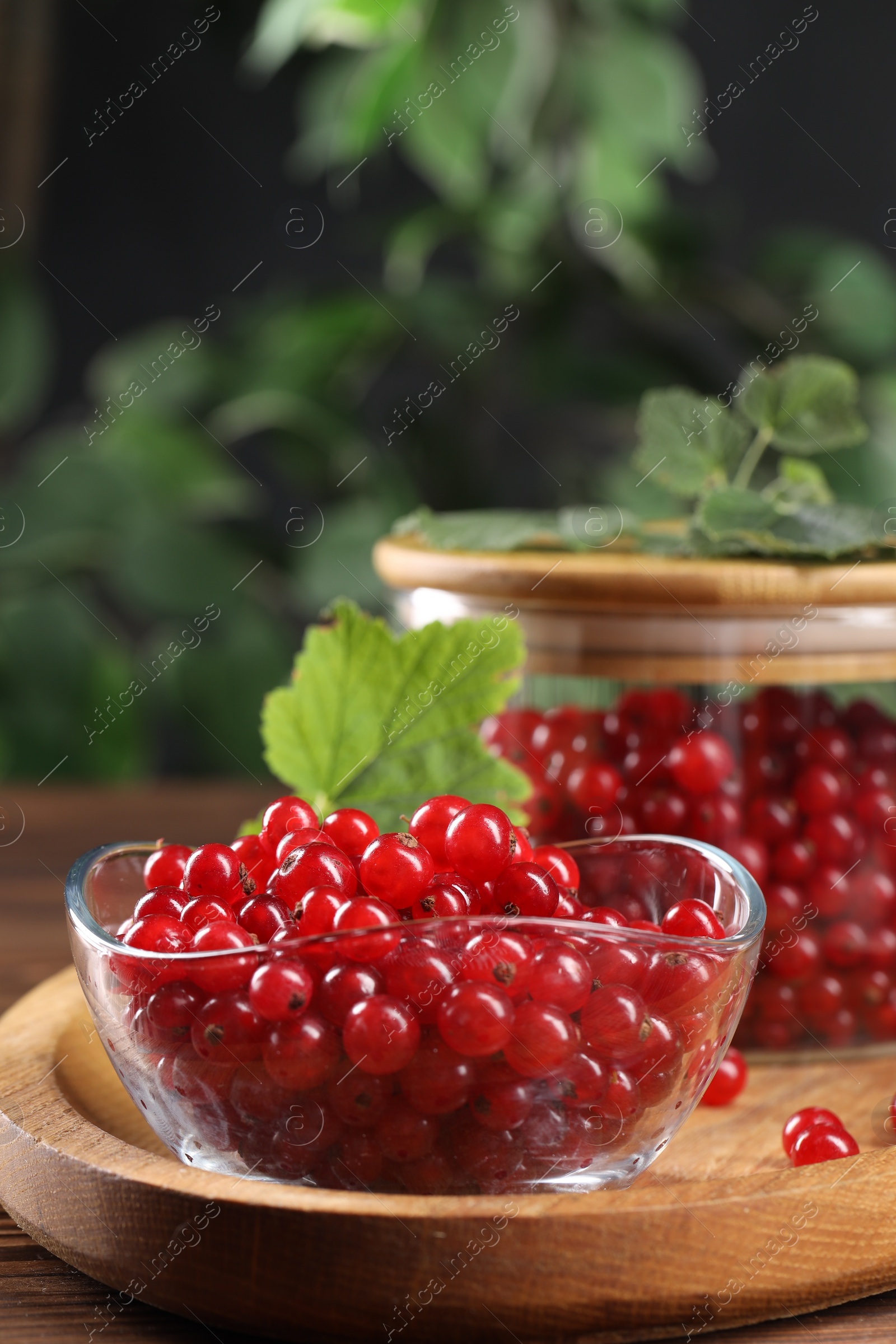 Photo of Ripe red currants and leaves on wooden table, closeup. Space for text