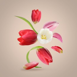 Image of Beautiful spring tulips flying on light background