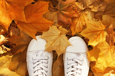 Photo of Sneakers on ground covered with fallen autumn leaves, top view