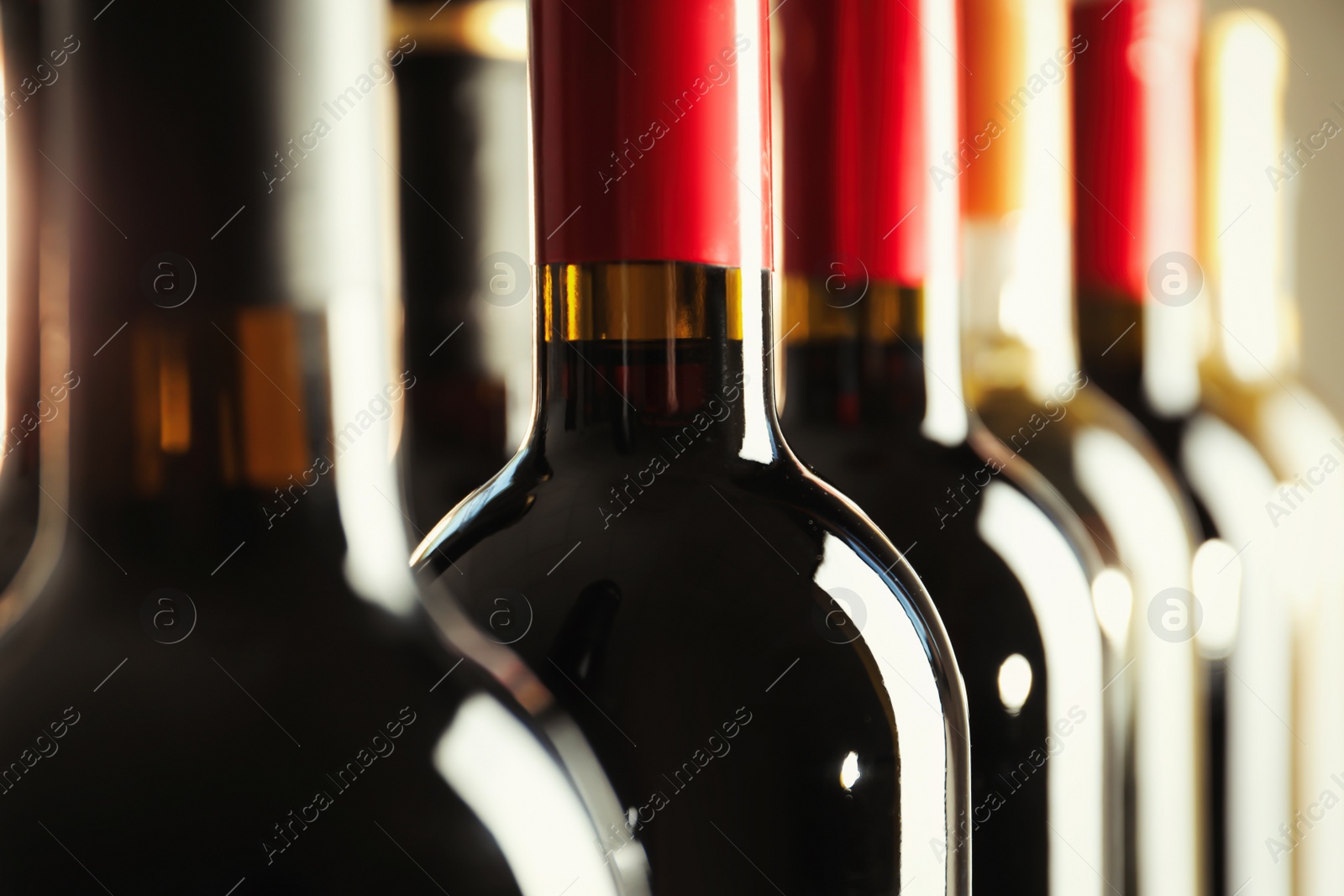 Photo of Bottles with delicious wine, closeup. Professional sommelier