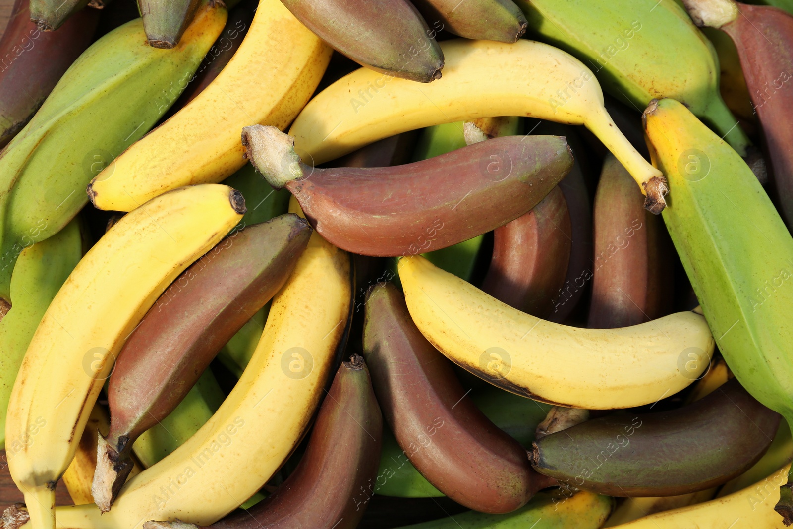 Photo of Different types of bananas as background, top view