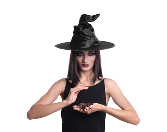 Photo of Mysterious witch in hat with spider on white background
