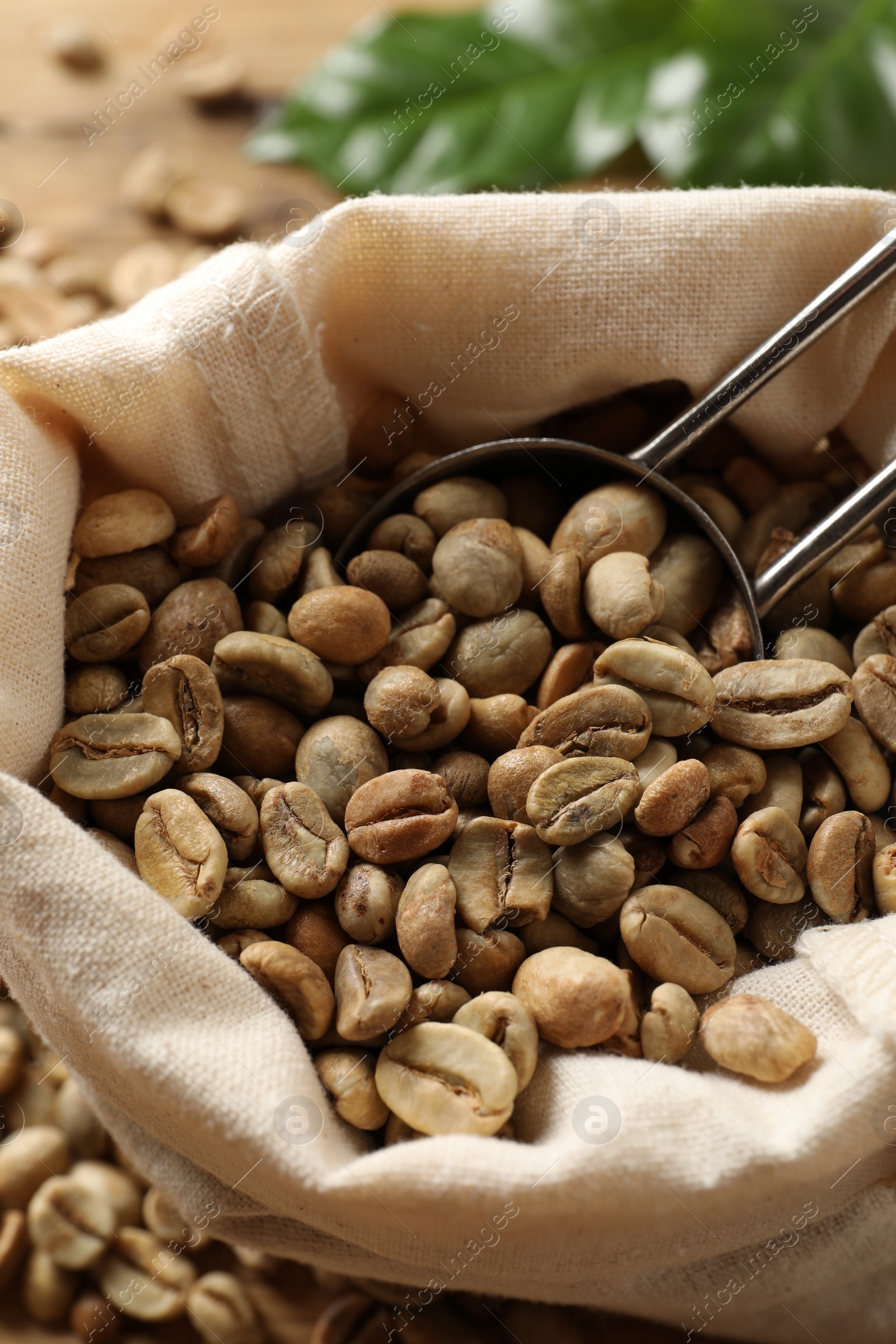 Photo of Green coffee beans and scoop in sackcloth bag, closeup