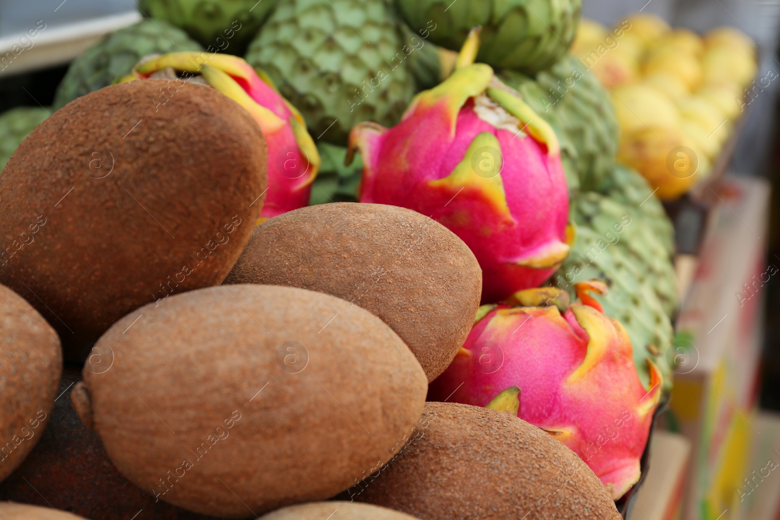 Photo of Cherimoya, sapodilla and dragon fruit on counter at market, closeup. Space for text