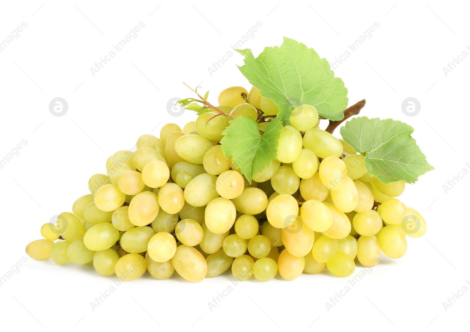 Photo of Bunch of fresh ripe juicy grapes isolated on white