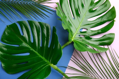 Photo of Beautiful monstera and palm leaves on color background, flat lay. Tropical plants