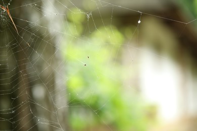 Photo of Old dusty cobweb on blurred background, closeup