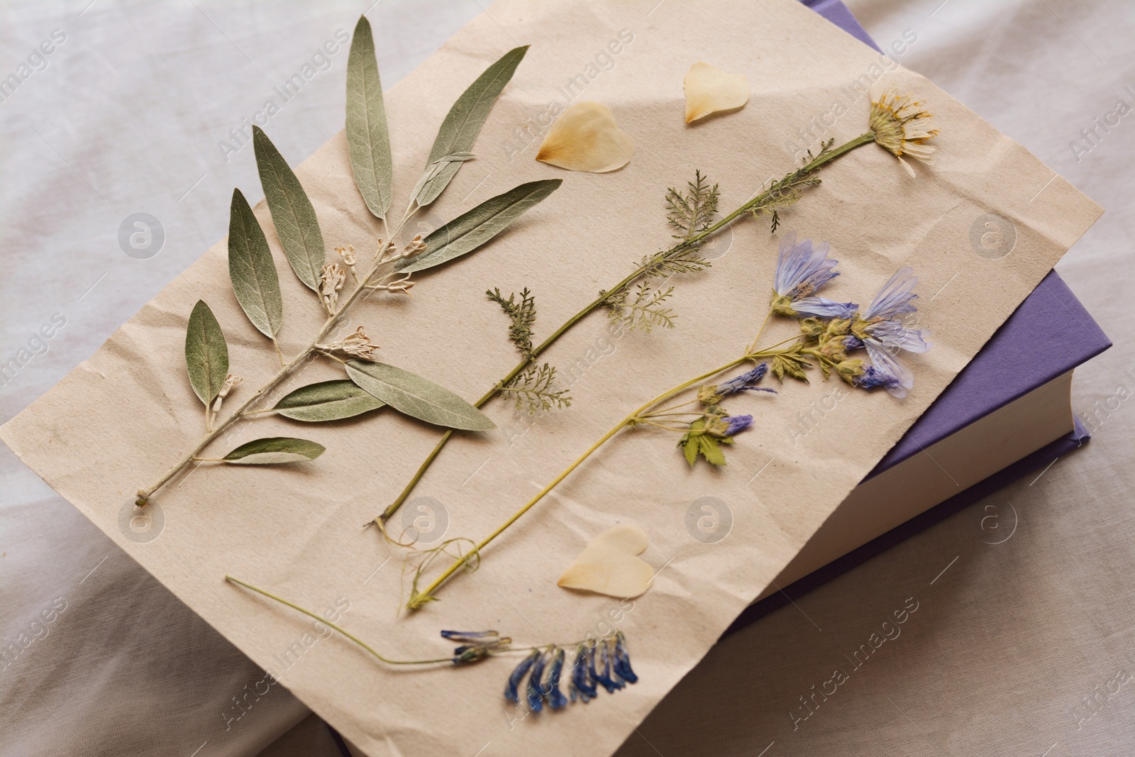 Photo of Sheet of paper with dried flowers and leaves on white fabric, closeup