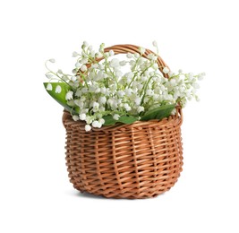 Wicker basket with beautiful lily of the valley flowers isolated on white