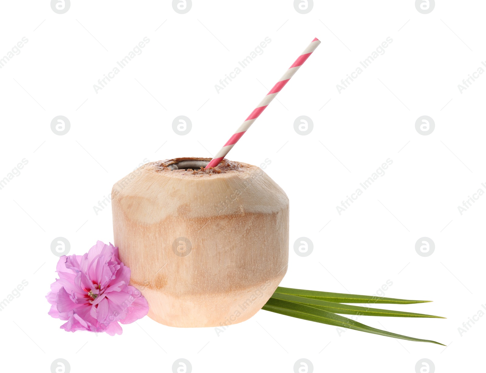 Photo of Young peeled coconut with straw, palm leaf and beautiful flower isolated on white