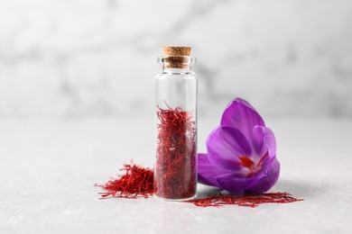 Photo of Dried saffron and crocus flower on light table