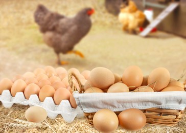 Fresh raw eggs and chickens on farm
