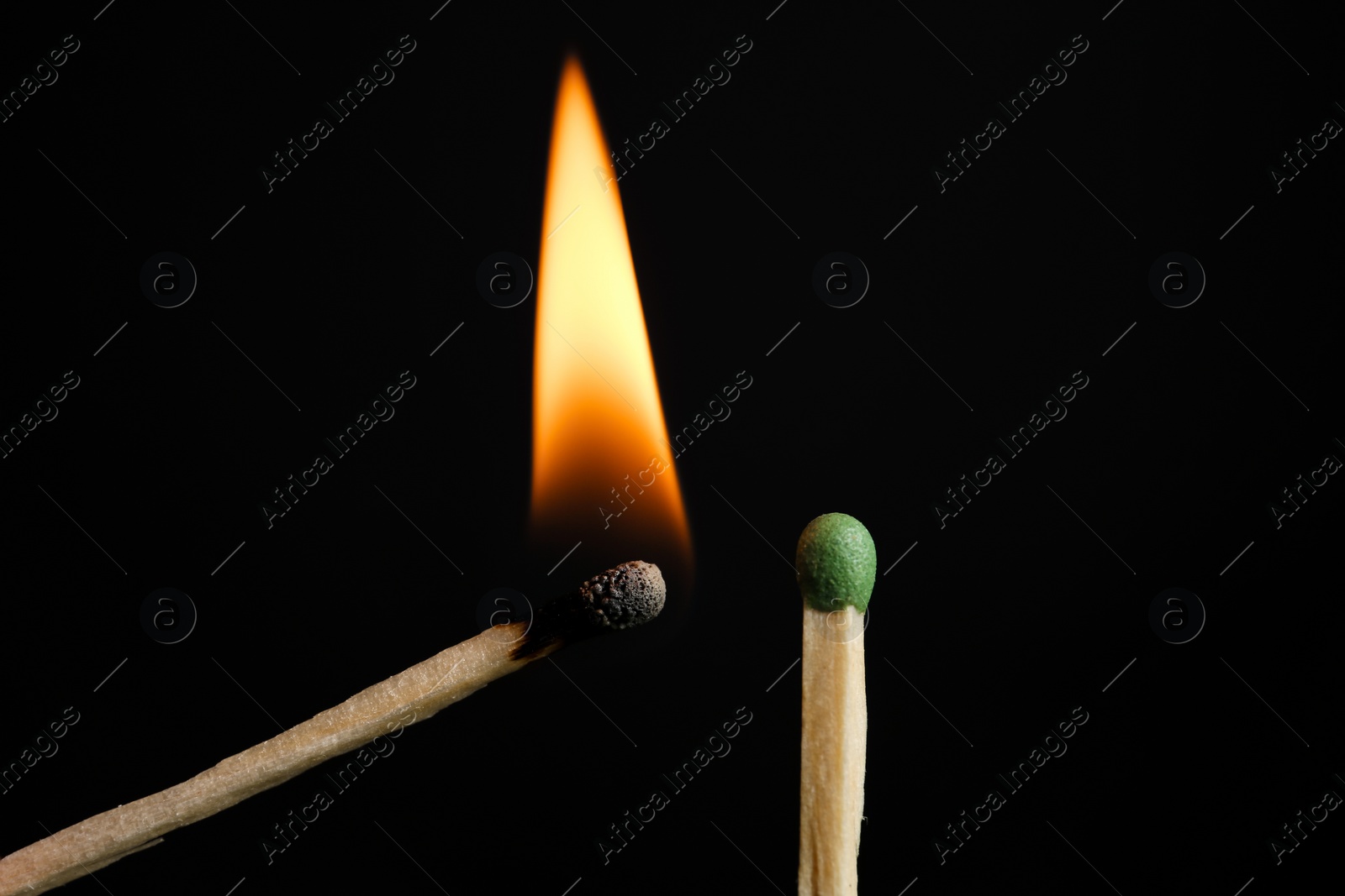 Photo of Lit and whole matches on black background, closeup