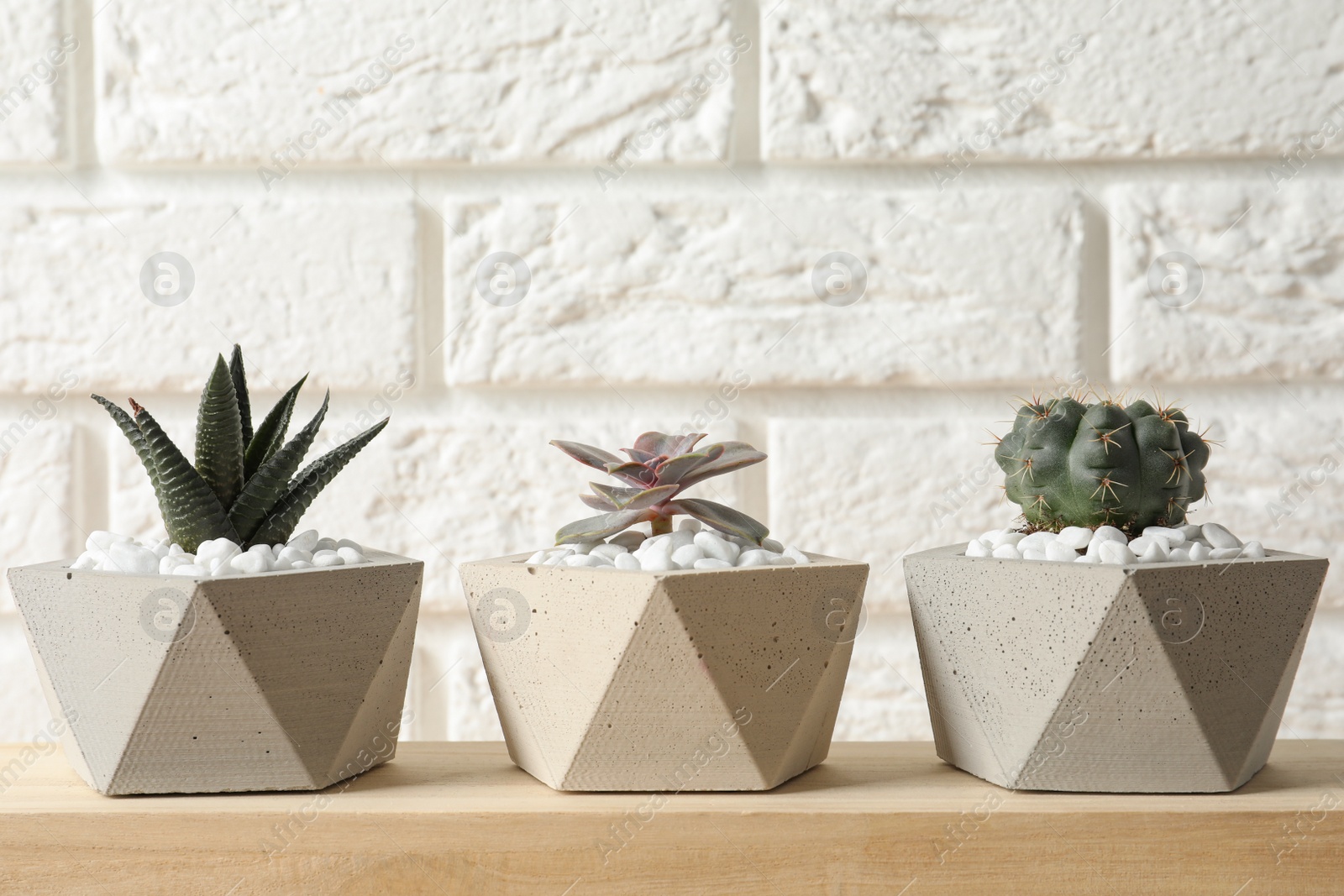 Photo of Beautiful succulent plants in stylish flowerpots on wooden table near white brick wall. Home decor
