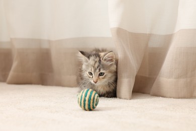 Cute fluffy kitten with ball at home