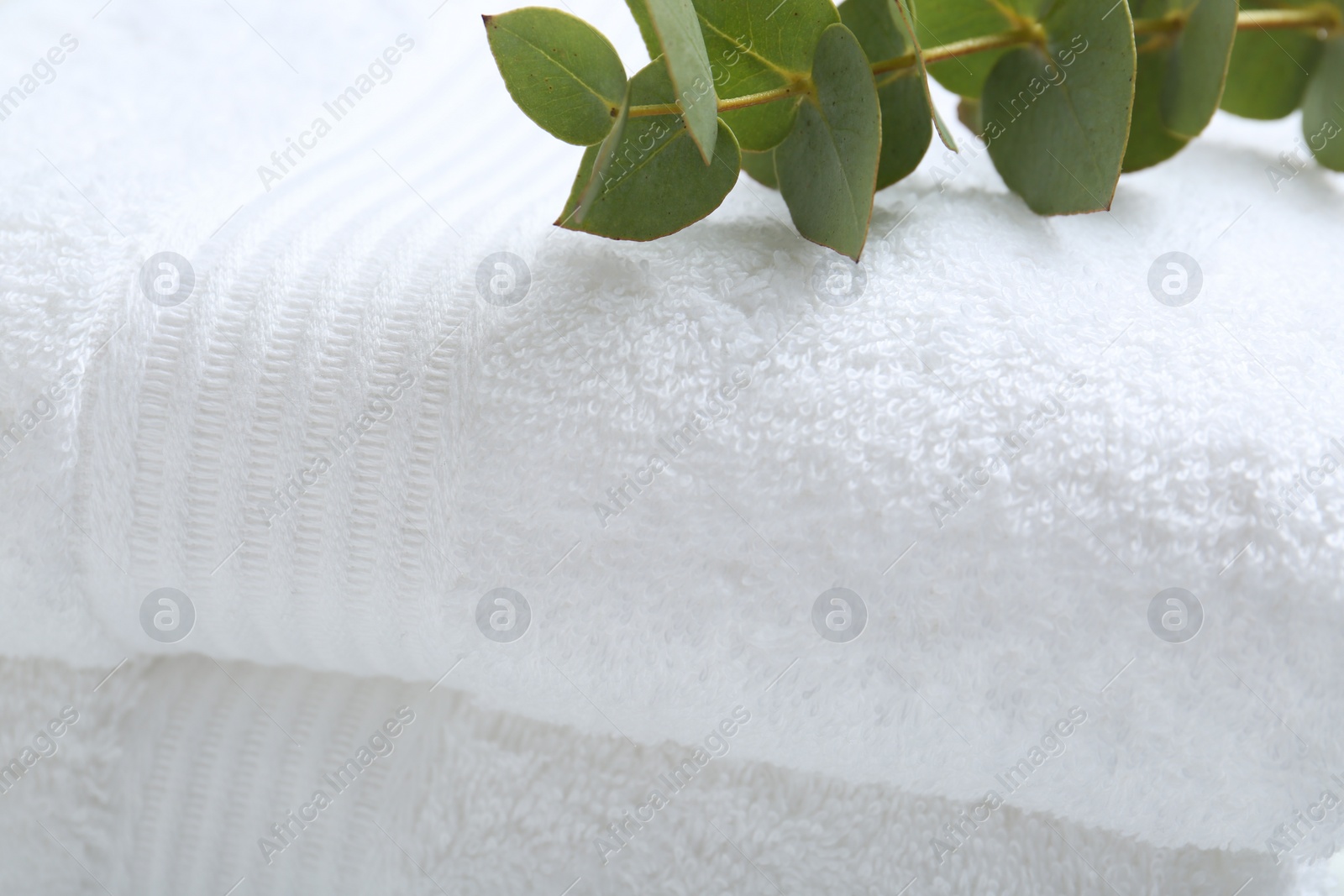 Photo of Folded terry towels and eucalyptus branch, closeup