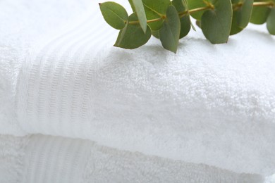 Photo of Folded terry towels and eucalyptus branch, closeup