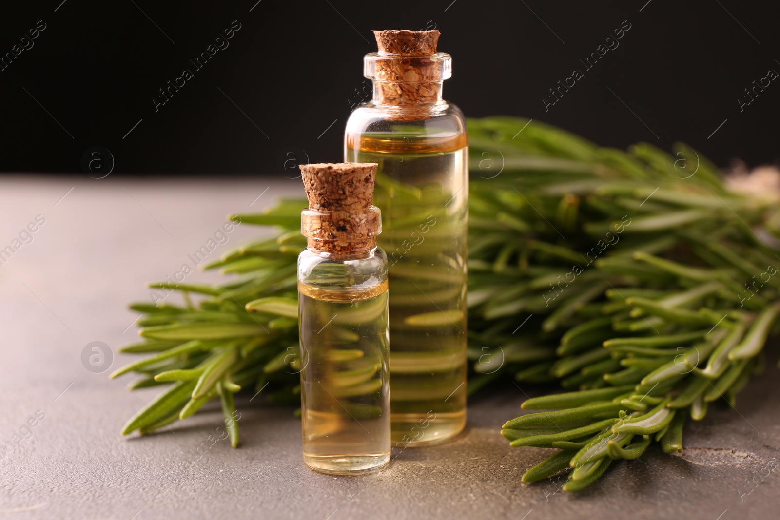 Photo of Essential oil in bottles and rosemary on grey table, closeup