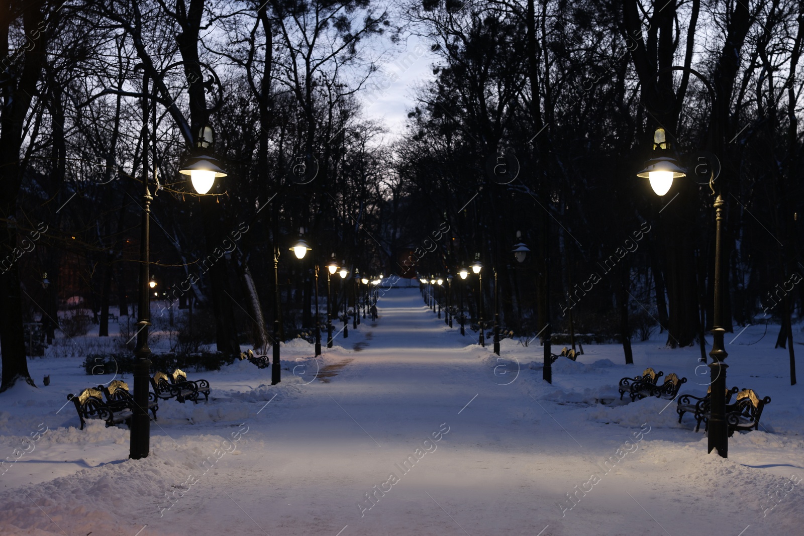 Photo of Trees, street lamps and pathway covered with snow in evening park