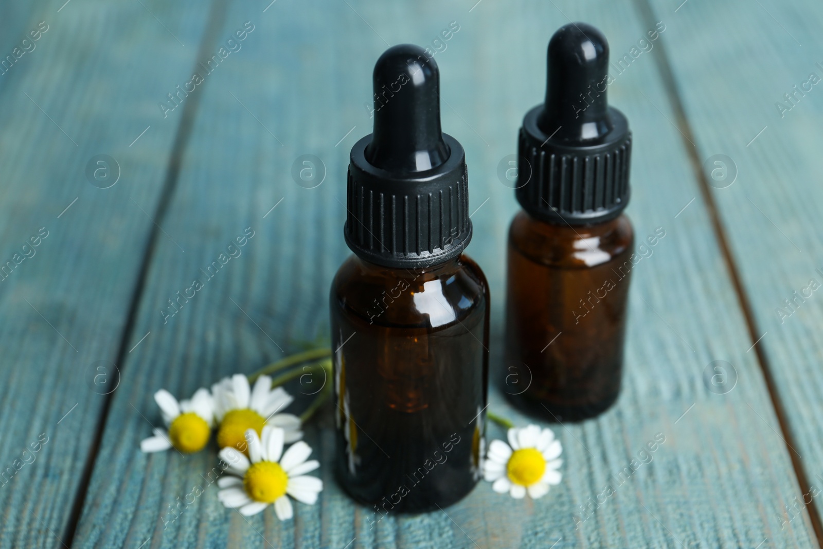 Photo of Bottles of essential oil and fresh chamomiles on blue wooden table