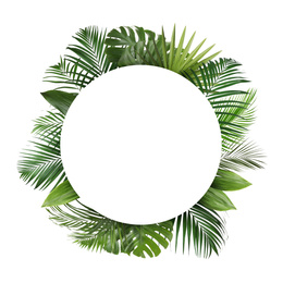 Image of Frame made of beautiful lush tropical leaves on white background, top view. Space for text