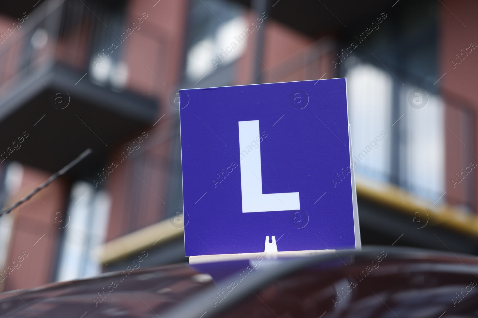 Photo of L-plate on car roof outdoors. Driving school