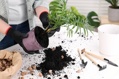 Photo of Woman in gloves transplanting houseplant at white table, closeup