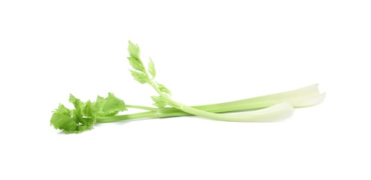 Photo of Fresh green celery stems isolated on white